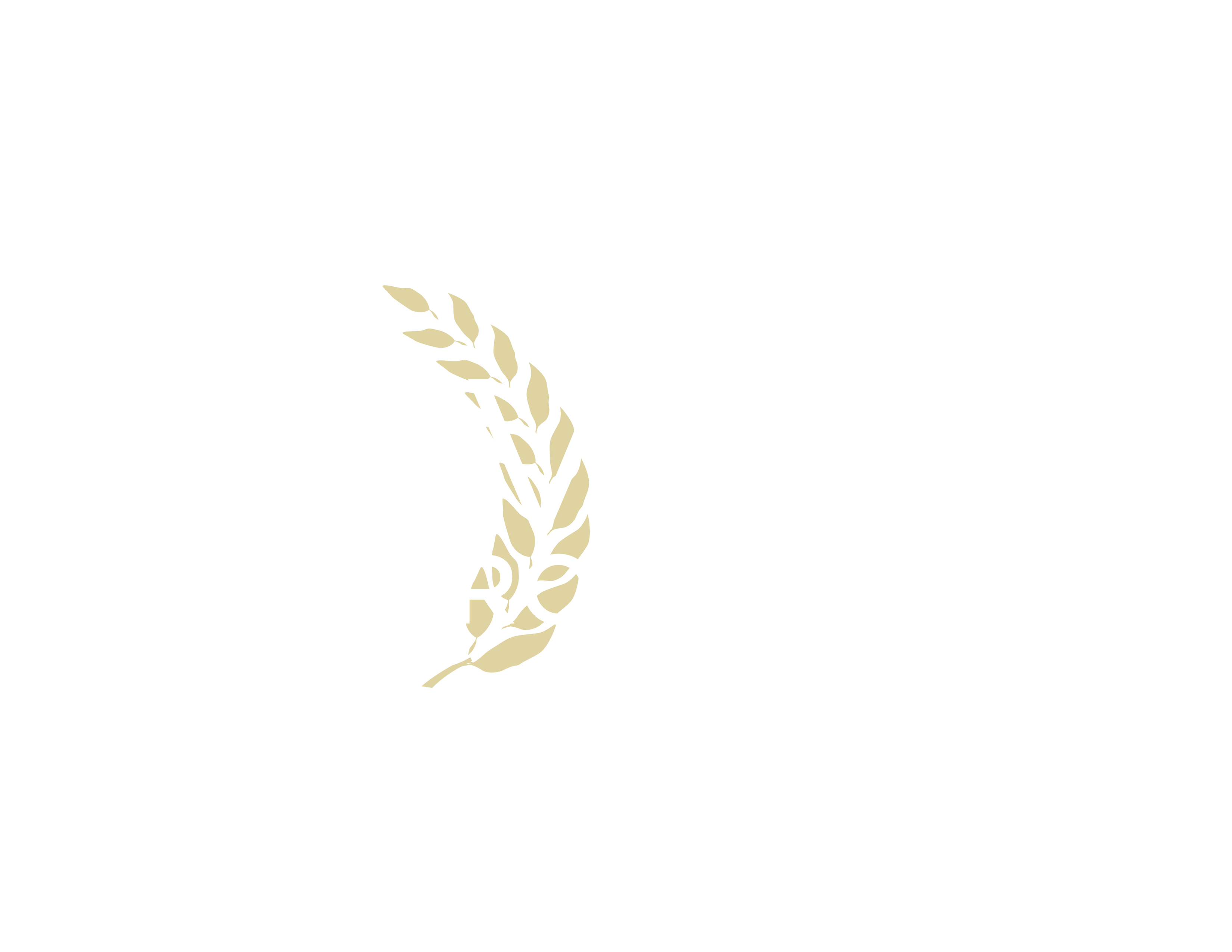 The Mavuno Project